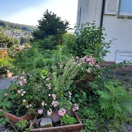 Gasthof Monteurwohnung - Handwerkerwohnung Jesse 3*