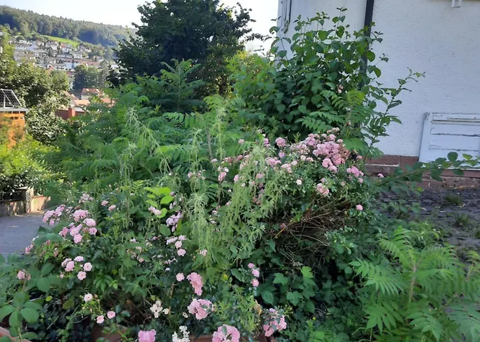 Guest house Monteurwohnung - Handwerkerwohnung Jesse 3*